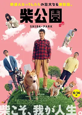 久久久久久久亚洲精品一区